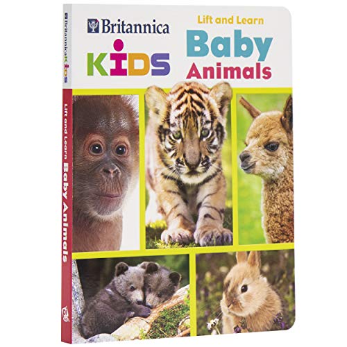 Chicks, kits, pups, and cubs! Meet 100 baby animals from all around the world. Little ones will love learning animal names, exploring habitats, and lifting flaps to find fun facts and surprises.